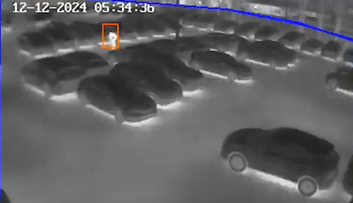 Câmera de segurança flagra momento em que ladrões levam sensores de carros da marca	