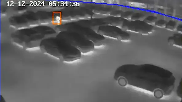 Câmera de segurança flagra momento em que ladrões levam sensores de carros da marca	