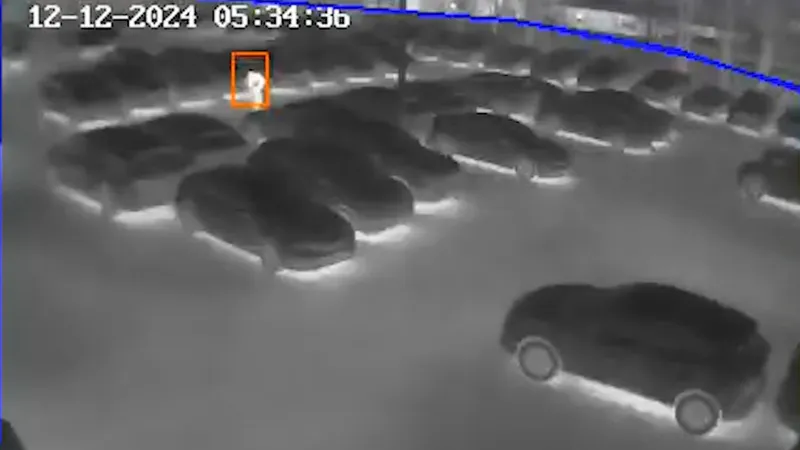 Vídeo: Criminosos invadem concessionárias Honda e roubam em tempo recorde