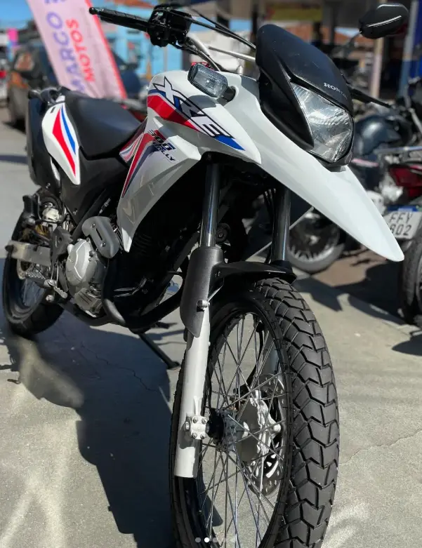 Honda XRE 300 Rally (Flex)