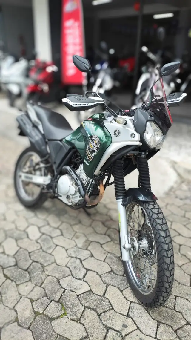 Carro Yamaha XTZ 250 Ténéré 2019 Blueflex