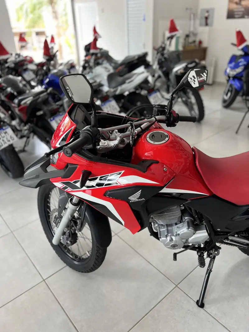 Honda XRE 300 Rally (Flex)