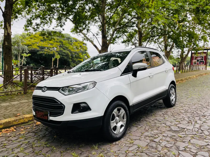 Ford EcoSport Ecosport SE 2.0 16V Powershift (Flex)