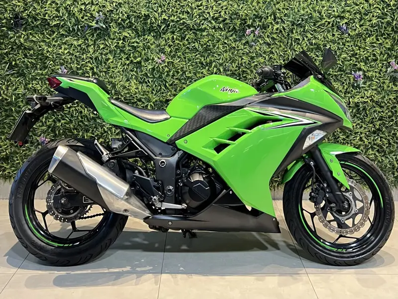 Kawasaki Ninja 300 (ABS)