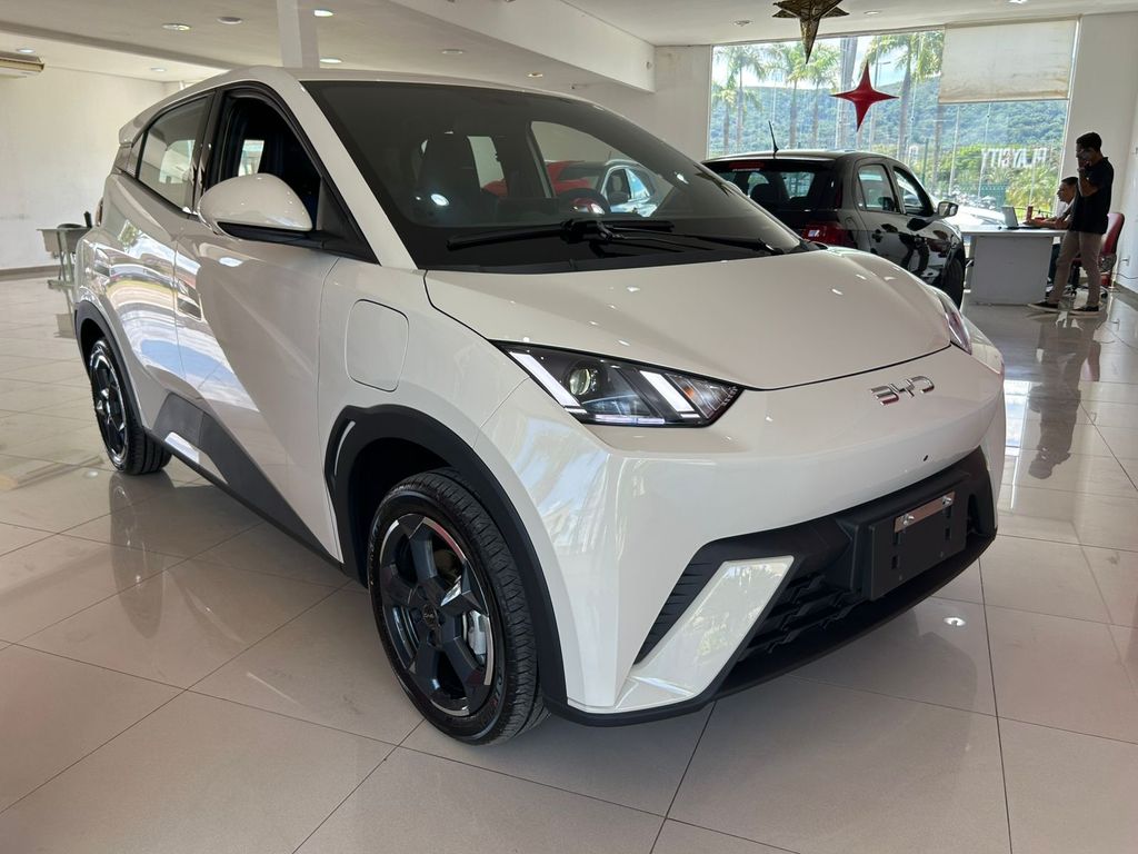 Dolphin Mini EV