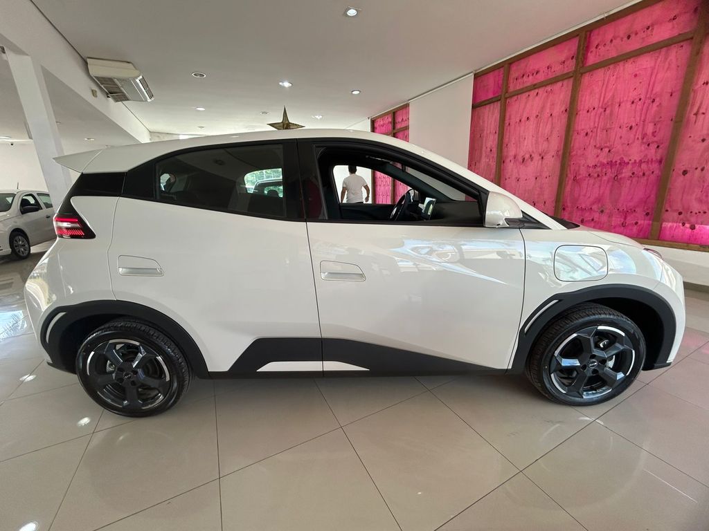 Dolphin Mini EV