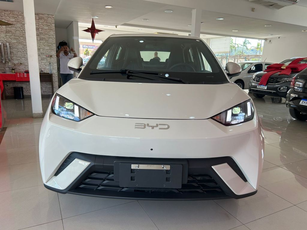 Dolphin Mini EV