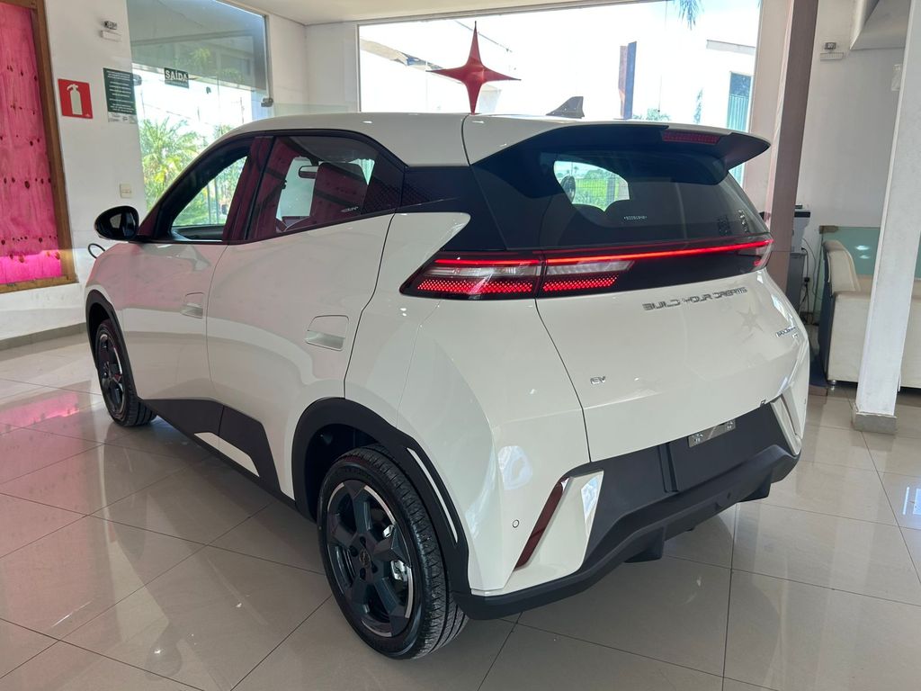 Dolphin Mini EV