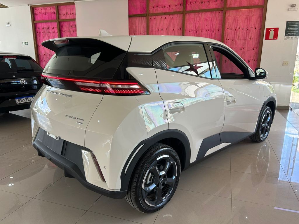 Dolphin Mini EV
