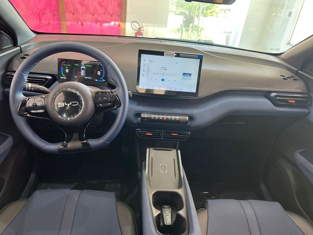 Dolphin Mini EV