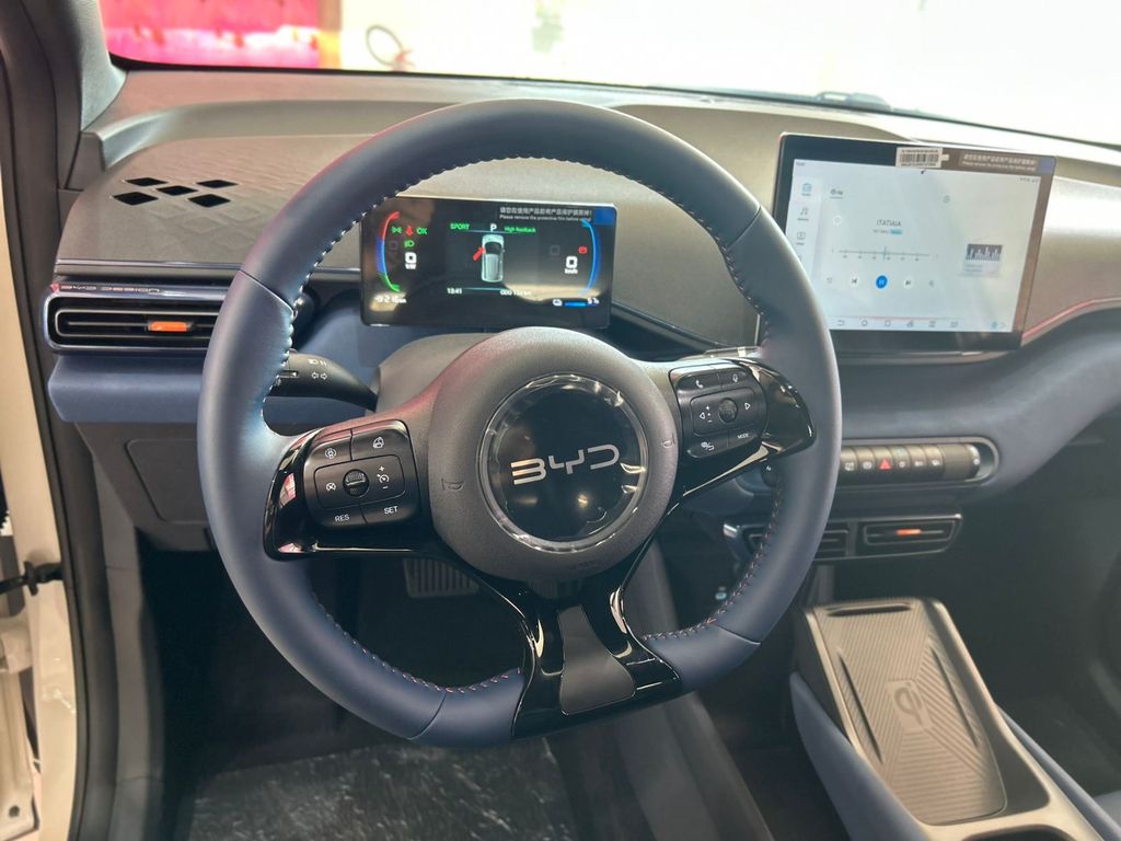 Dolphin Mini EV