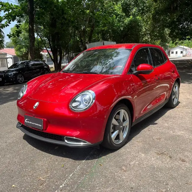 Carro GWM Ora 03 2024 Skin