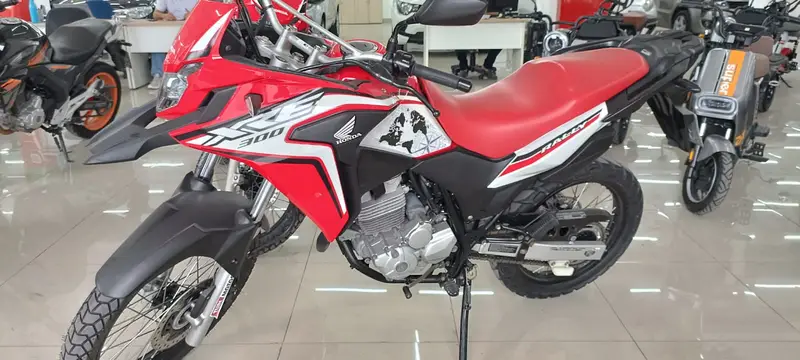 Honda XRE 300 (ABS) (Flex)