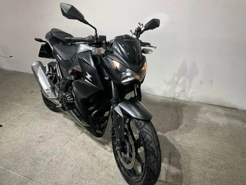 Kawasaki Z 300 296cc