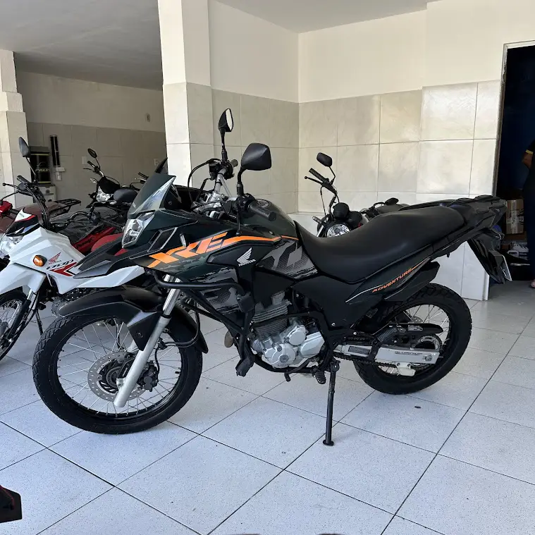 Honda XRE 300 (ABS) (Flex)