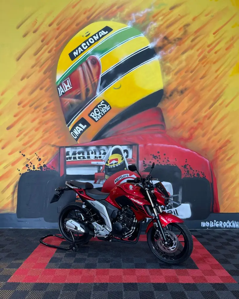 Yamaha Fazer FZ25 Flex