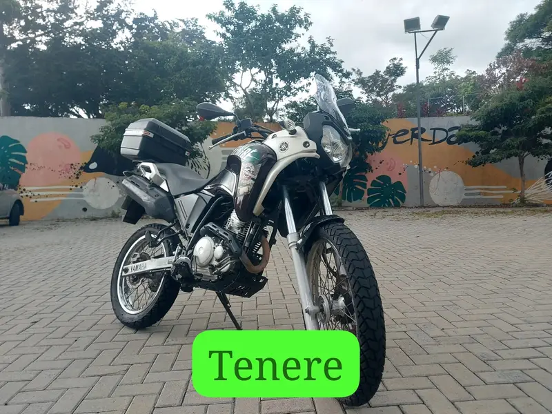Yamaha XTZ 250 Ténéré Blueflex