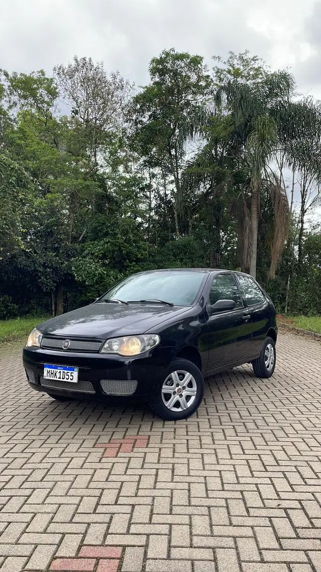 Carro Fiat Palio 2010 Fire 1.0 8V (Flex) 2p