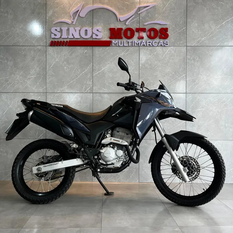 Honda XRE 300 (ABS) (Flex)