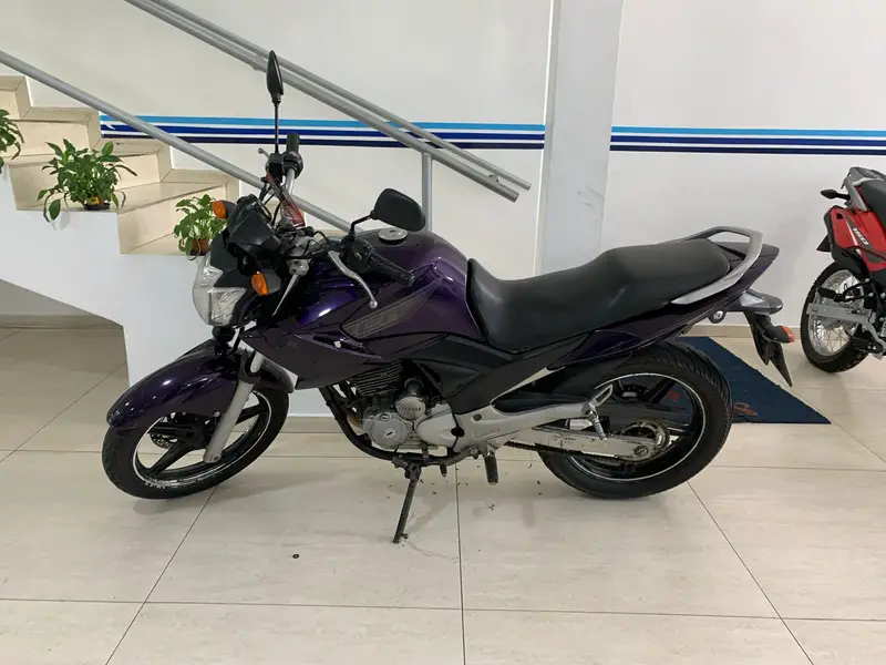 Yamaha YS 250 Fazer Racing Blue