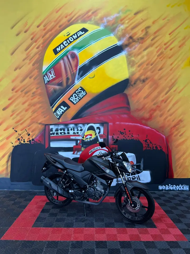 Yamaha YS 150 Fazer UBS