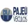 Imagem da loja Pajeú Veículos - Recife - PE