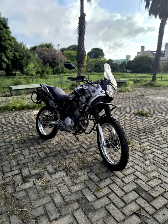 Carro Yamaha XTZ 250 Ténéré 2019 Blueflex