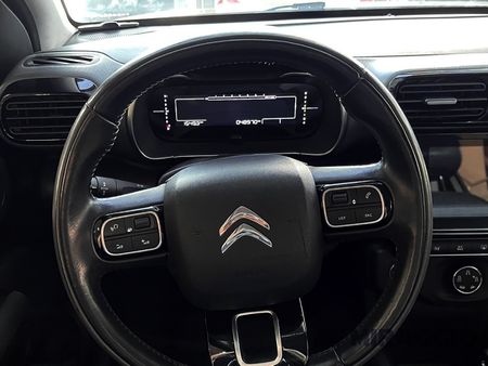 C4 Cactus 1.6 THP Shine Pack (Aut) (Flex)