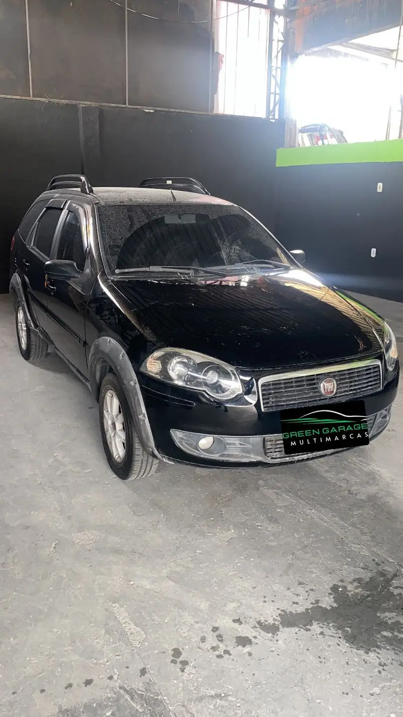 Fiat Palio Weekend Trekking 1.4 8V (Flex)