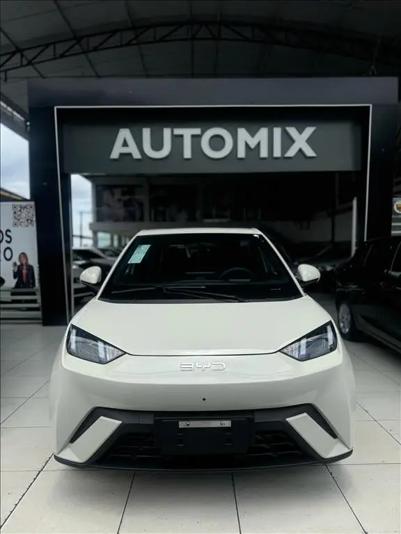 Carro BYD Dolphin Mini 2025 EV