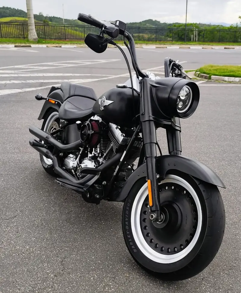 Harley-Davidson Fat Boy FLSTF FAT BOY LOW/ SPECIAL FLSTFB