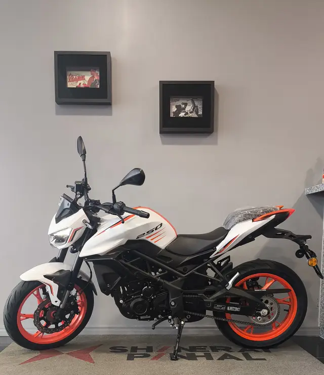 Moto Shineray 250F 2025 250F