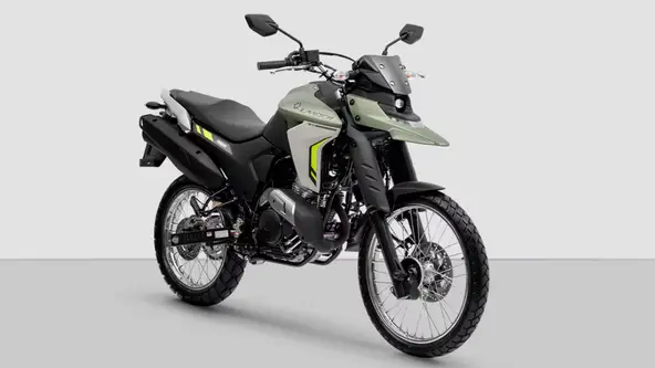 Proprietários relatam vazamentos, mas robustez e economia do motor compensam