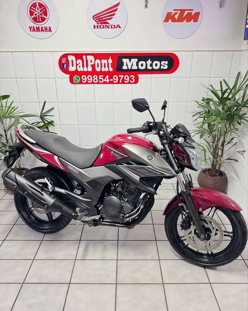 Yamaha Fazer 250 Blueflex