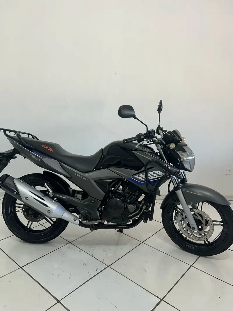 Yamaha Fazer 250 Blueflex