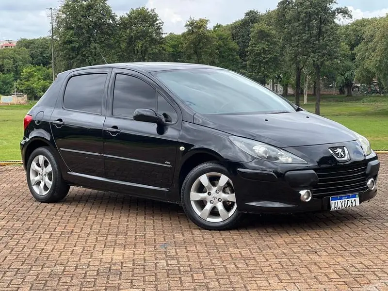 Peugeot 307 Hatch. Presence 1.6 16V (flex)