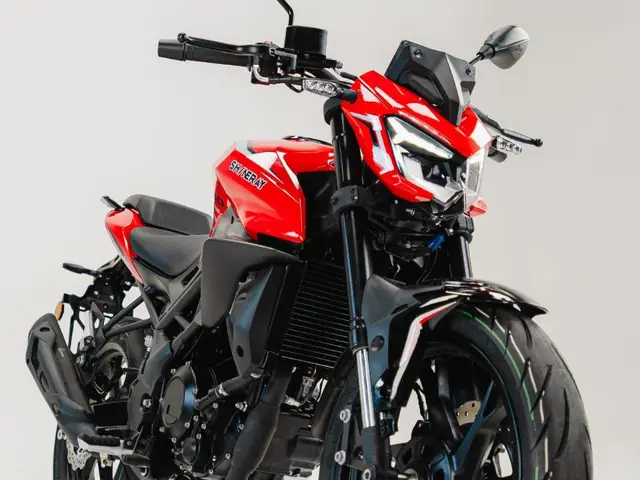 Carro Shineray 250F 2025 250F