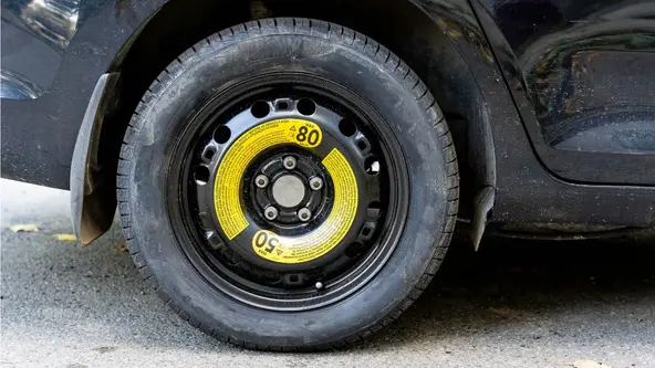 Ele é mais fino que os demais, e precisa de cuidados diferentes; entenda