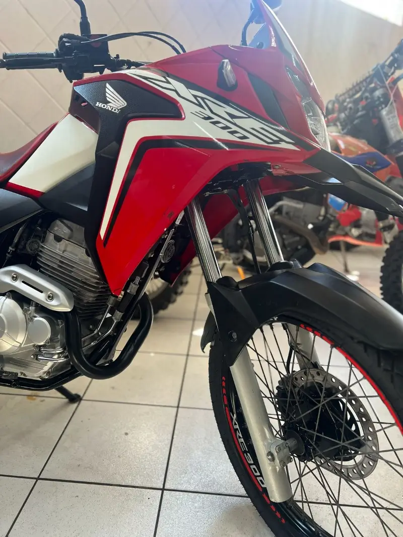 Honda XRE 300 (ABS) (Flex)