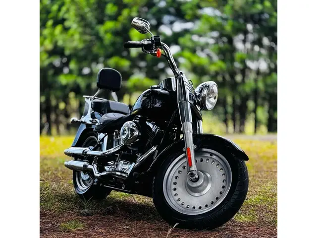 Carro Harley-Davidson Fat Boy FLSTF 2008 Fat Boy FLSTF