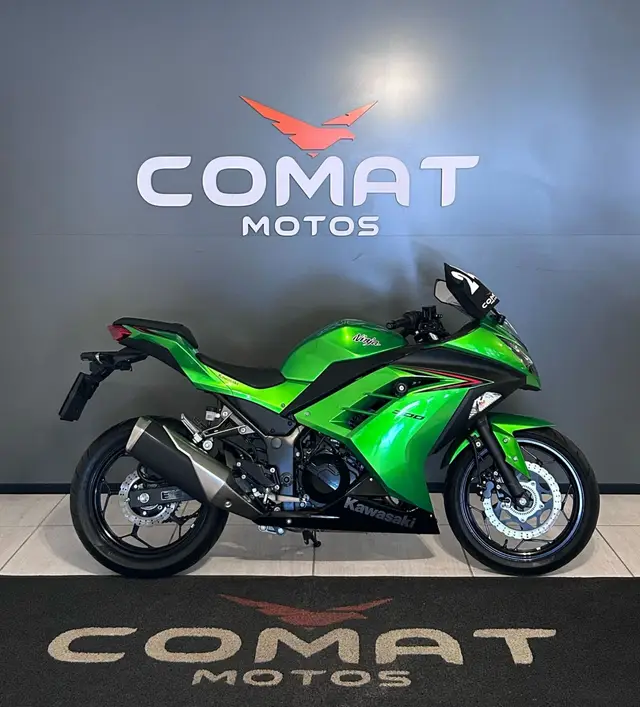 Carro Kawasaki Ninja 2024 300