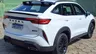 Como BYD e GWM poderão consertar seus carros pela internet