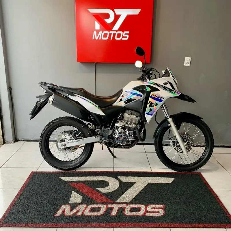 Honda XRE 300 (ABS) (Flex)