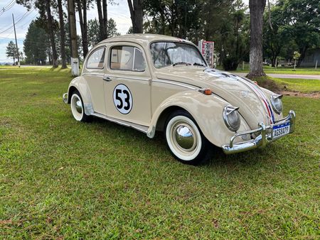 Fusca Fusca