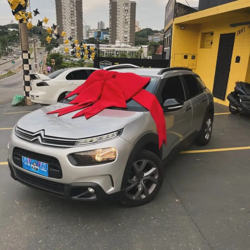 Citroën C4 Cactus 1.6 Feel (Aut) (Flex)