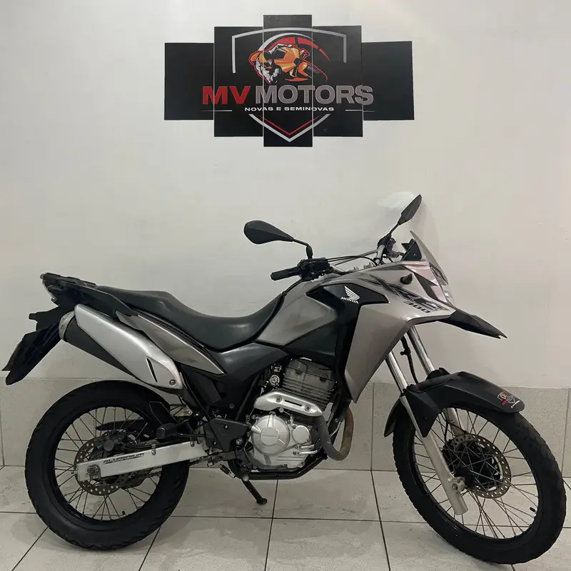 Honda XRE 300 (ABS) (Flex)