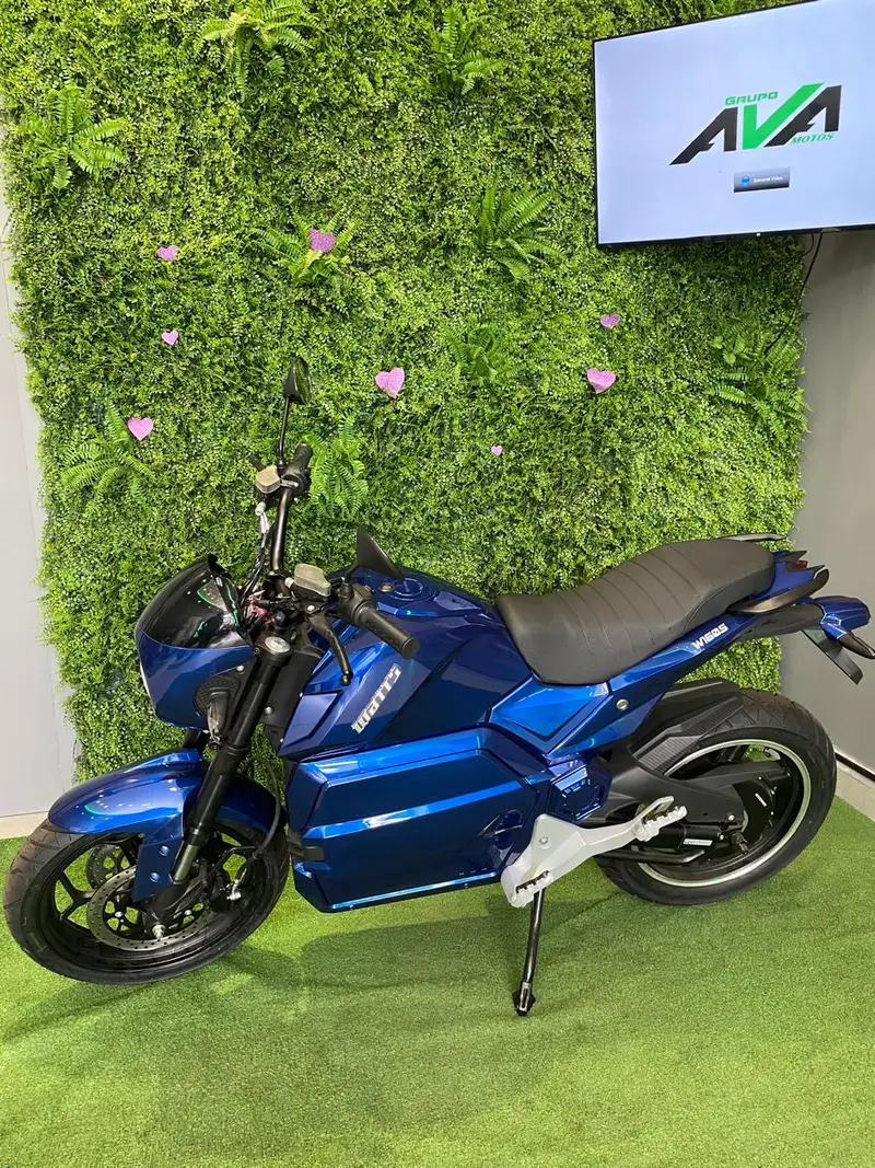 Watts W160S 10000W (Elétrica)