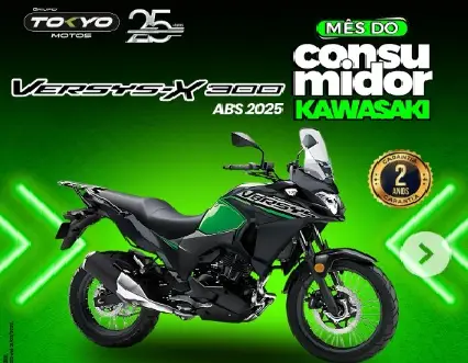 Kawasaki Versys -X 300 (ABS)