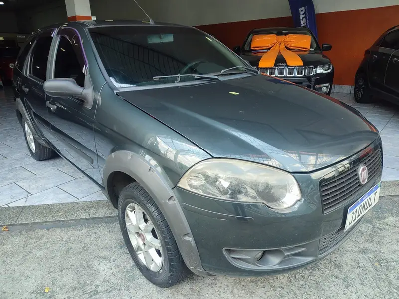 Fiat Palio Weekend Trekking 1.4 8V (Flex)