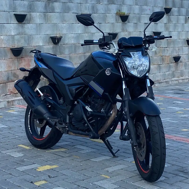 Yamaha YS 250 Fazer Racing Blue